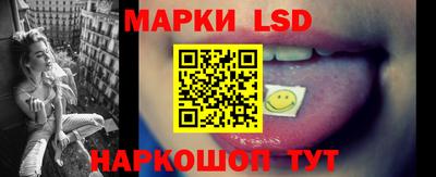 амф Гусев