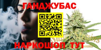 амф Гусев