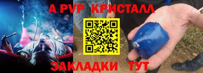 амф Гусев