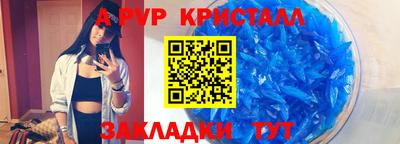 амф Гусев